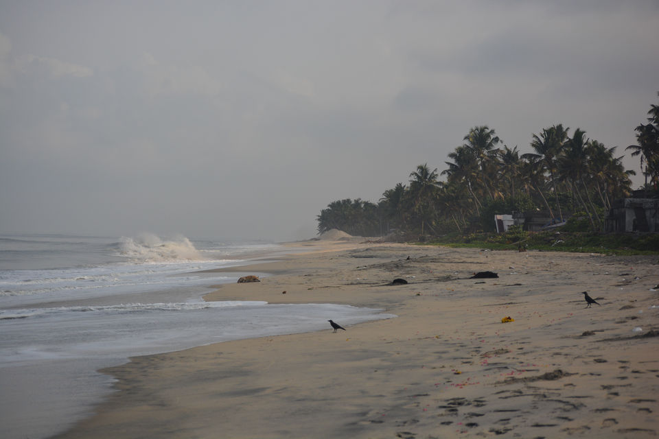 Photo of Alappuzha, Kerala, India by Barani Ram