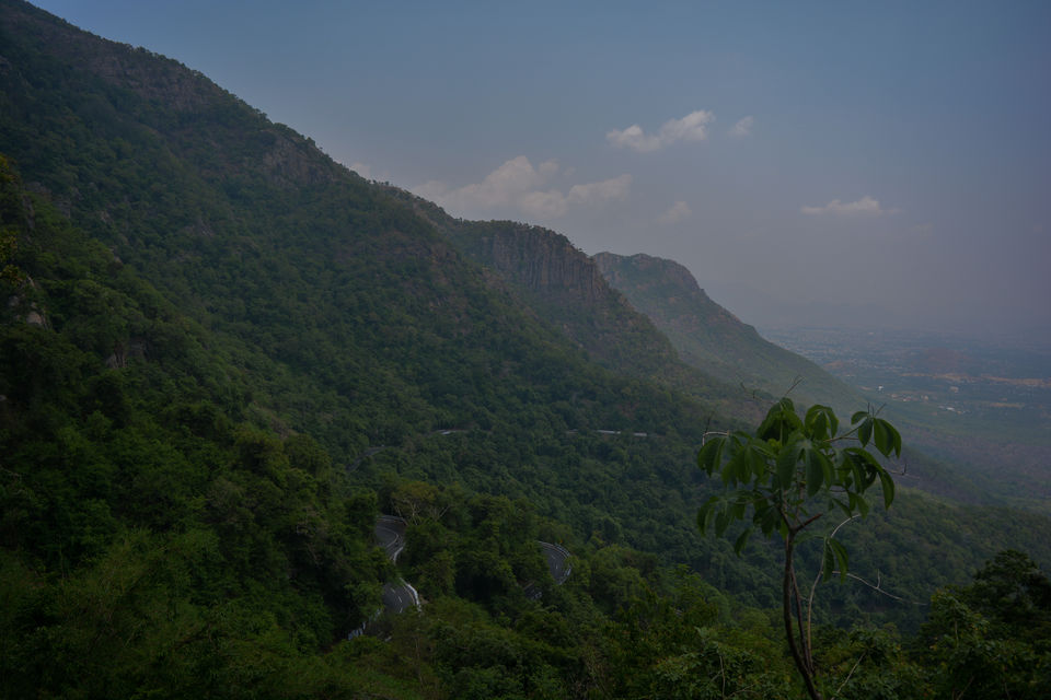 Photo of Yercaud, Tamil Nadu, India by Barani Ram