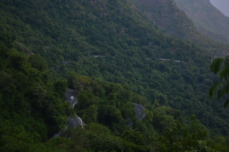 Photo of Yercaud, Tamil Nadu, India by Barani Ram
