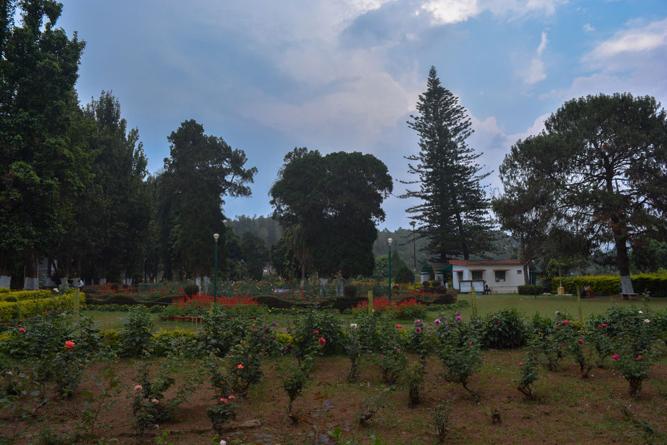 Photo of Anna Park, Salem - Yercaud Ghat Road, Yercaud, Tamil Nadu, India by Barani Ram