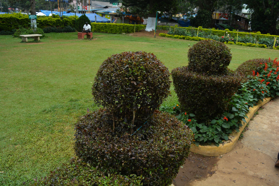 Photo of Anna Park, Salem - Yercaud Ghat Road, Yercaud, Tamil Nadu, India by Barani Ram