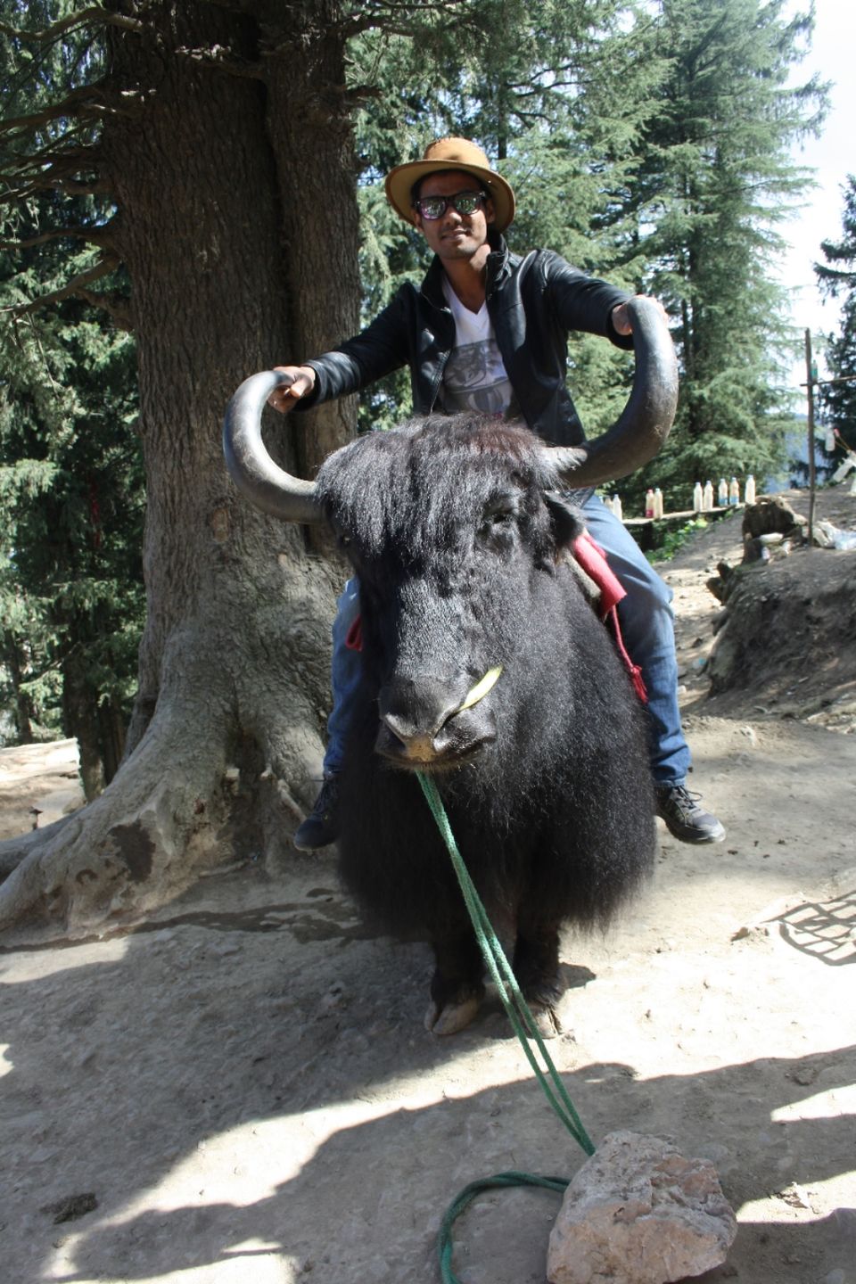 Photo of Shimla, Himachal Pradesh, India by Irfan