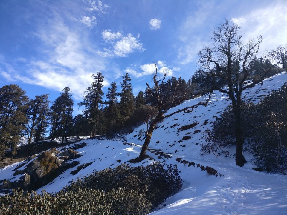 Photo of Chopta, Uttarakhand, India by Tanu Rana