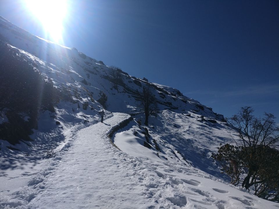 Photo of Chopta, Uttarakhand, India by Tanu Rana