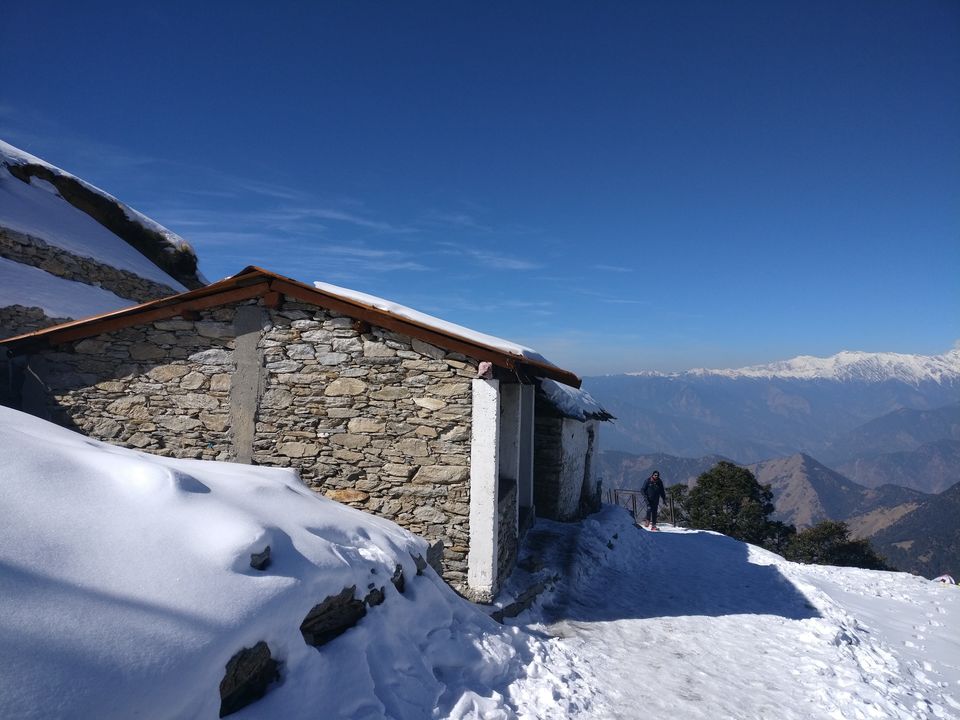 Photo of Chopta, Uttarakhand, India by Tanu Rana