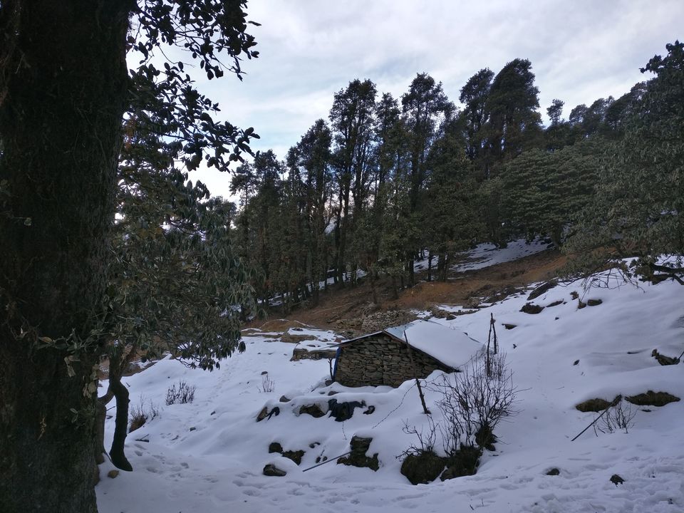 Photo of Chopta, Uttarakhand, India by Tanu Rana