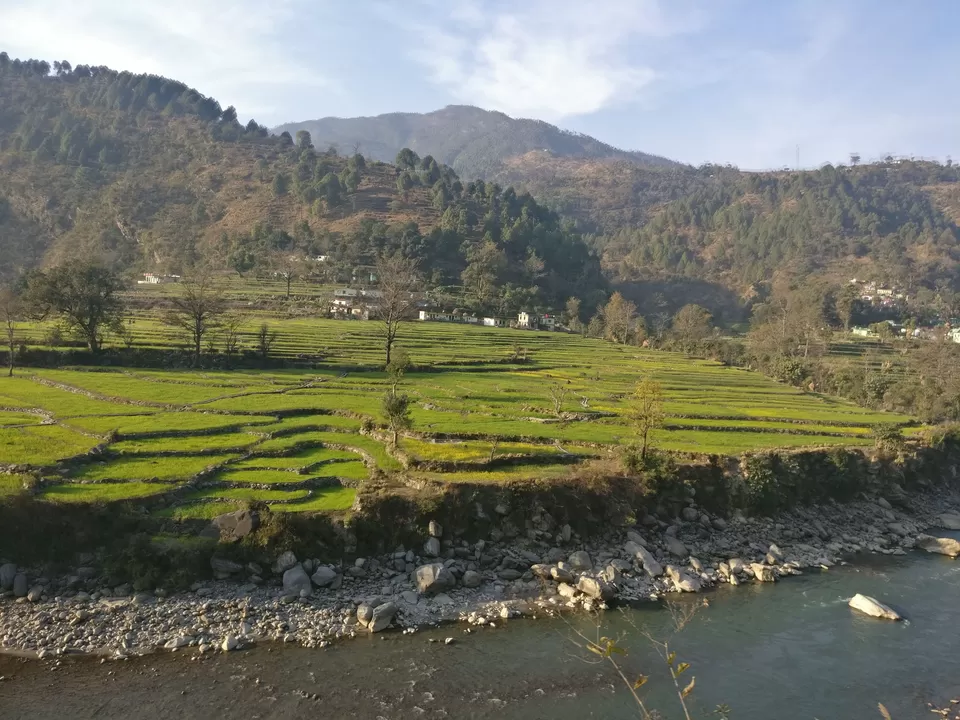 Photo of Ukhimath - Chopta - Gopeshwar Road, F-2 P-1, Uttarakhand, India by Tanu Rana