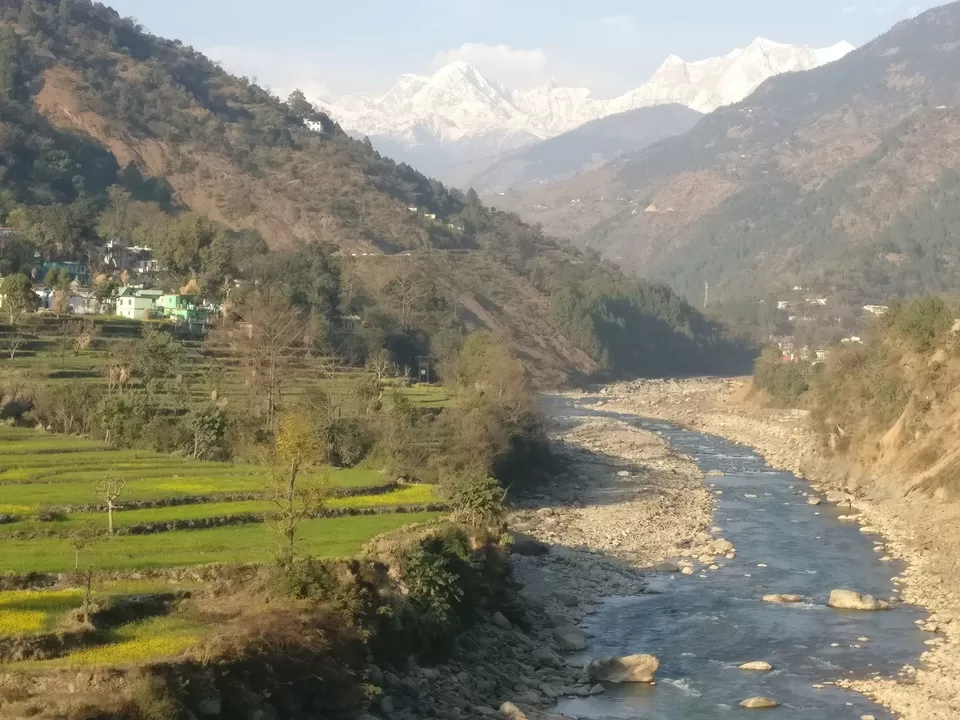 Photo of Ukhimath - Chopta - Gopeshwar Road, F-2 P-1, Uttarakhand, India by Tanu Rana