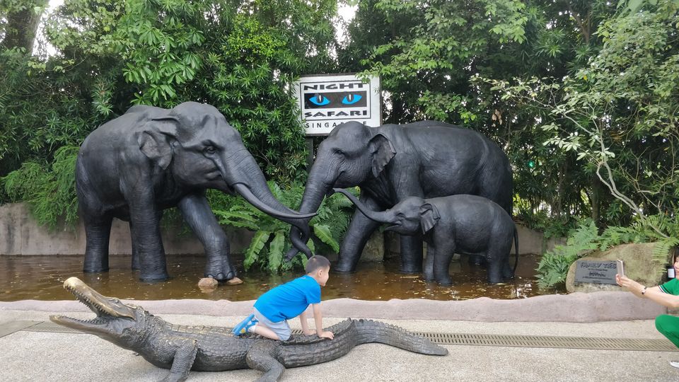 Photo of Singapore Zoo, Singapore by JashanD