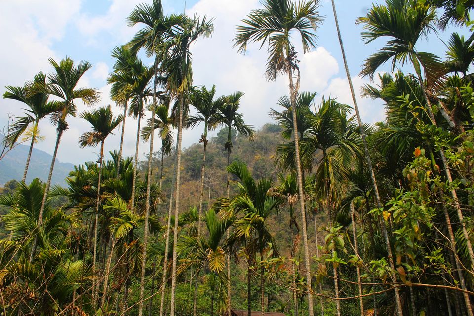 Photo of Nongriat- A Hidden Paradise #northeastphotos by Lavina Solanki