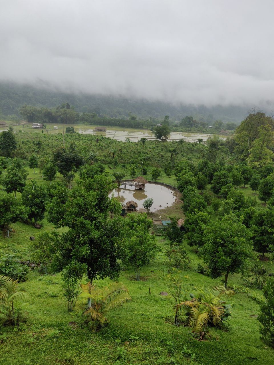 Photo of Siyom River (in Arunachal Pradesh) - the Surreal Beauty by Lavina Solanki
