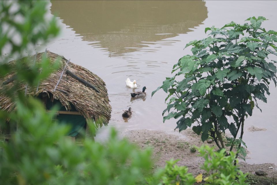Photo of Siyom River (in Arunachal Pradesh) - the Surreal Beauty by Lavina Solanki