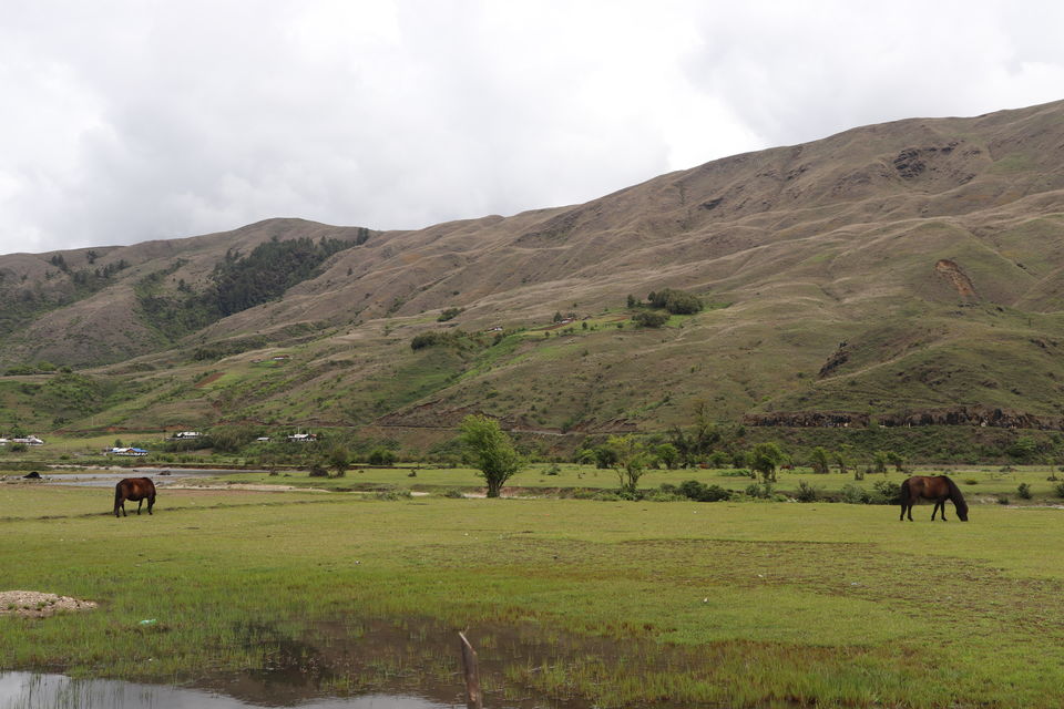 Photo of Mechuka (Arunachal Pradesh)- How to get there? Where to stay? by Lavina Solanki