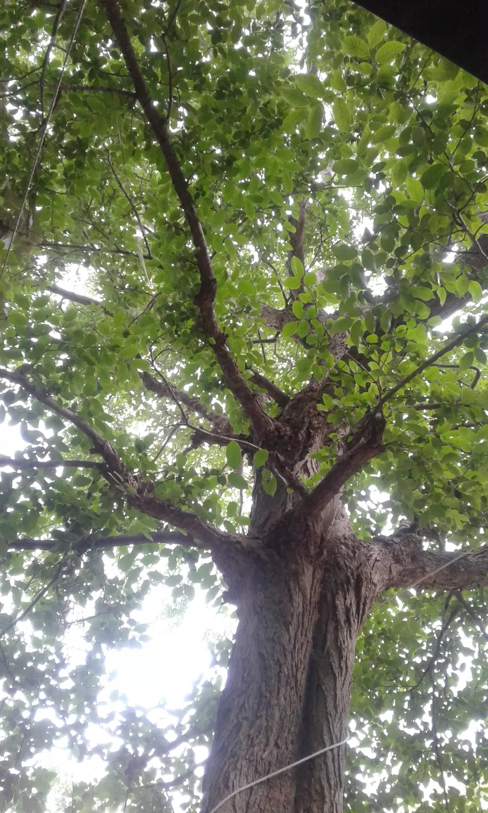 Photo of Polo Forest, Vijaynagar, Gujarat, India by safar_k_silsile