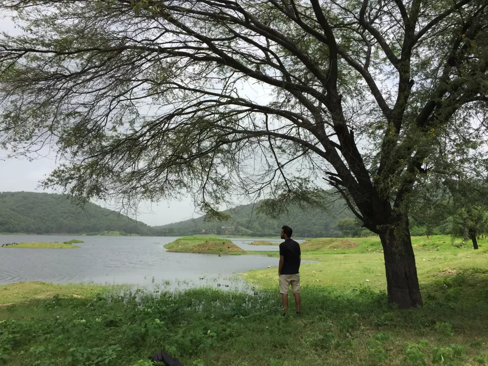 Photo of Polo Forest, Vijaynagar, Gujarat, India by safar_k_silsile