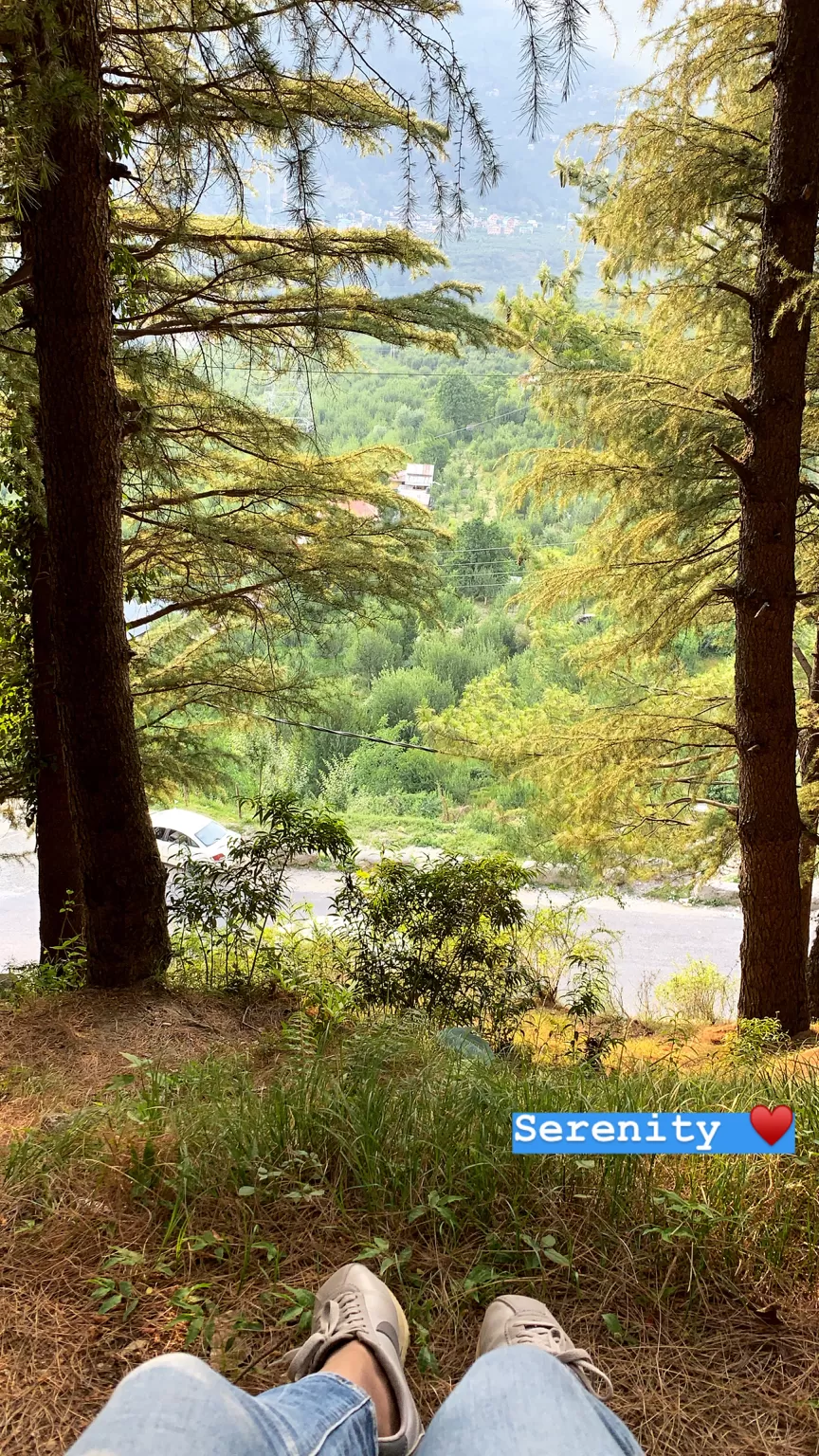 Photo of Manali, Himachal Pradesh, India by Radhika