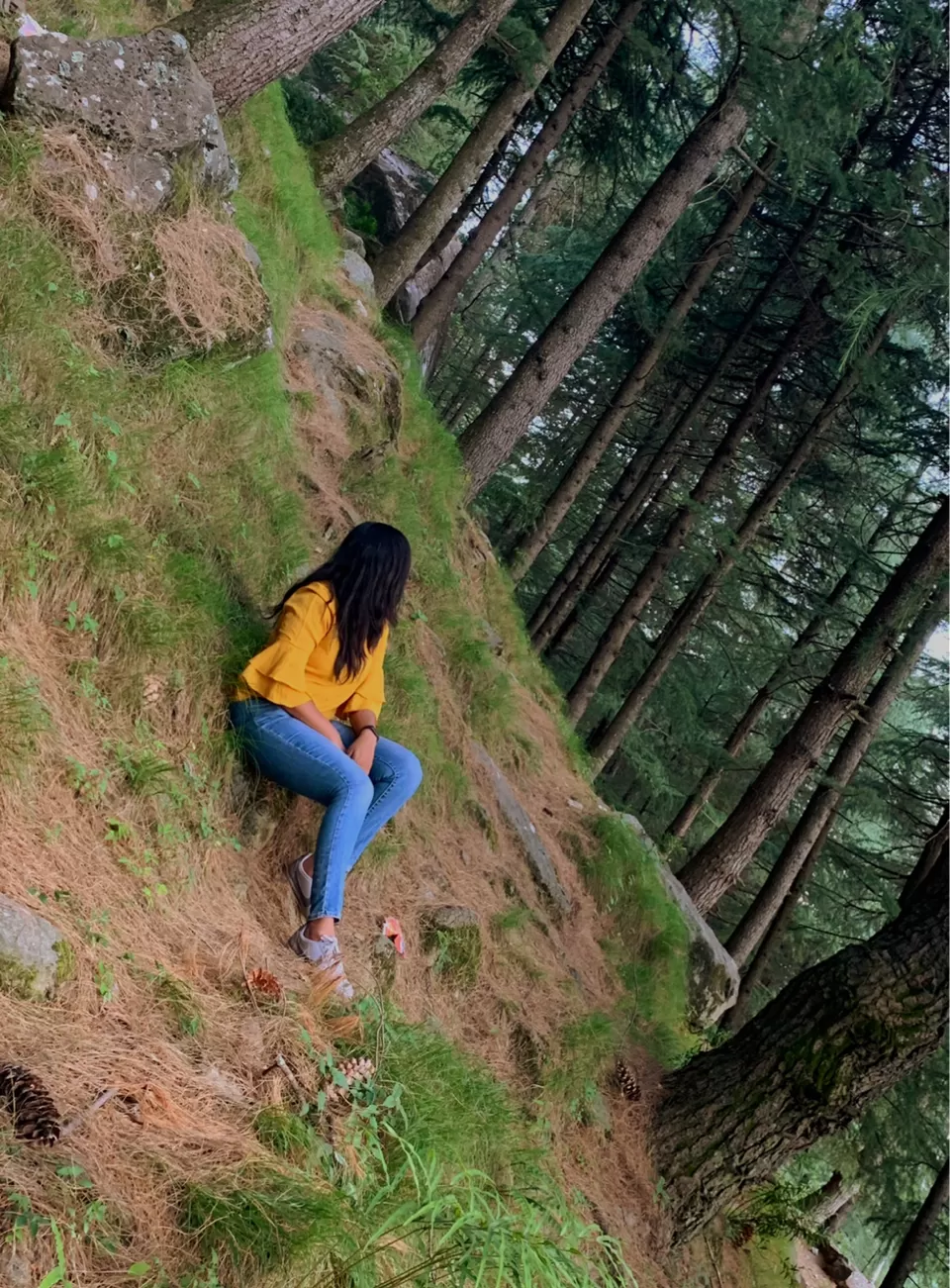 Photo of Manali, Himachal Pradesh, India by Radhika