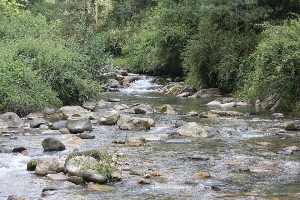 Photo of Summer Escapade: Delhi to Jibhi (Himachal Pradesh) by Ashish Arun