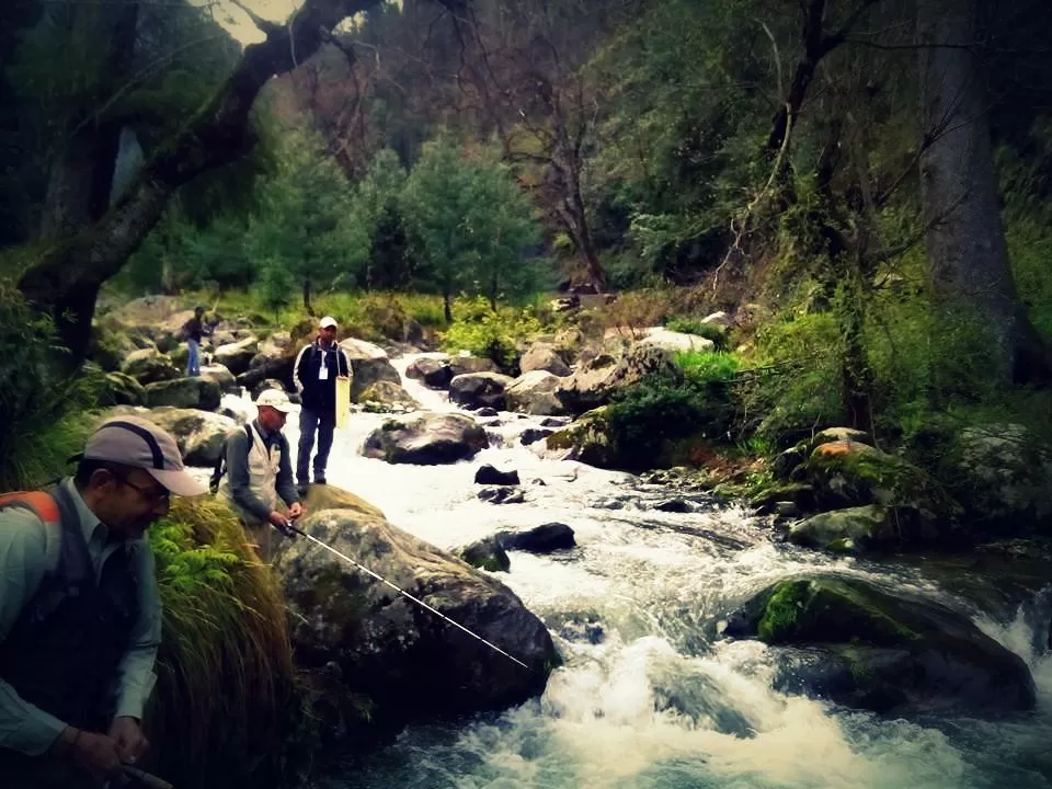 Photo of Day 1: Arrival at Tirthan Valley by Hippie in Hills