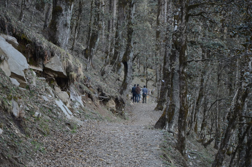Photo of A short Getaway to Tirthan Valley, Himachal Pradesh (Detailed Itinerary) 5/8 by Hippie in Hills