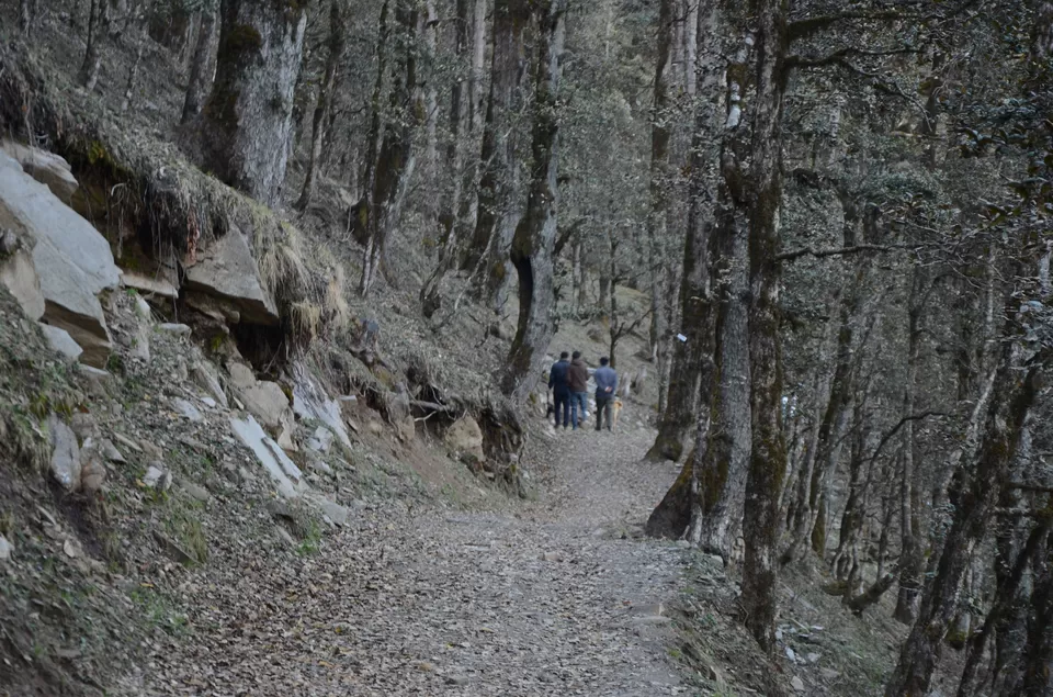 Photo of Day 2: Hike to Jalori Pass + Serolsar Lake + Jibhi by Hippie in Hills