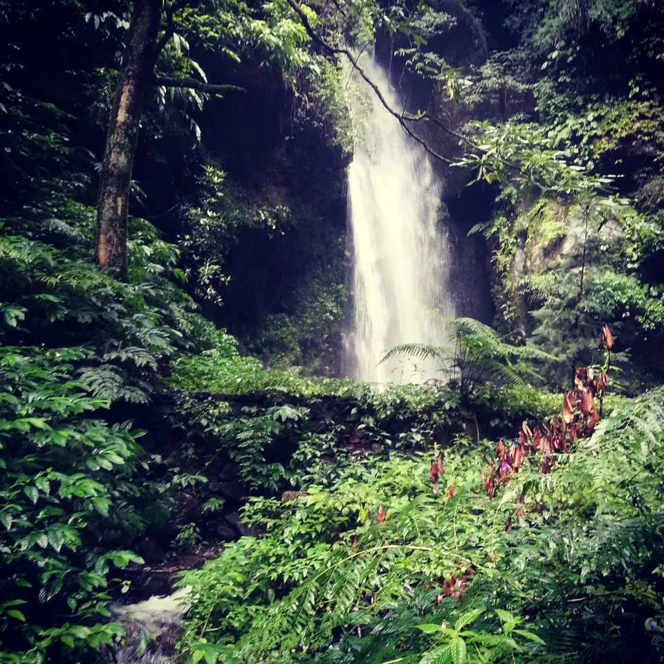 Photo of Day 4: A short hike to a waterfall + Departure in the evening by Hippie in Hills