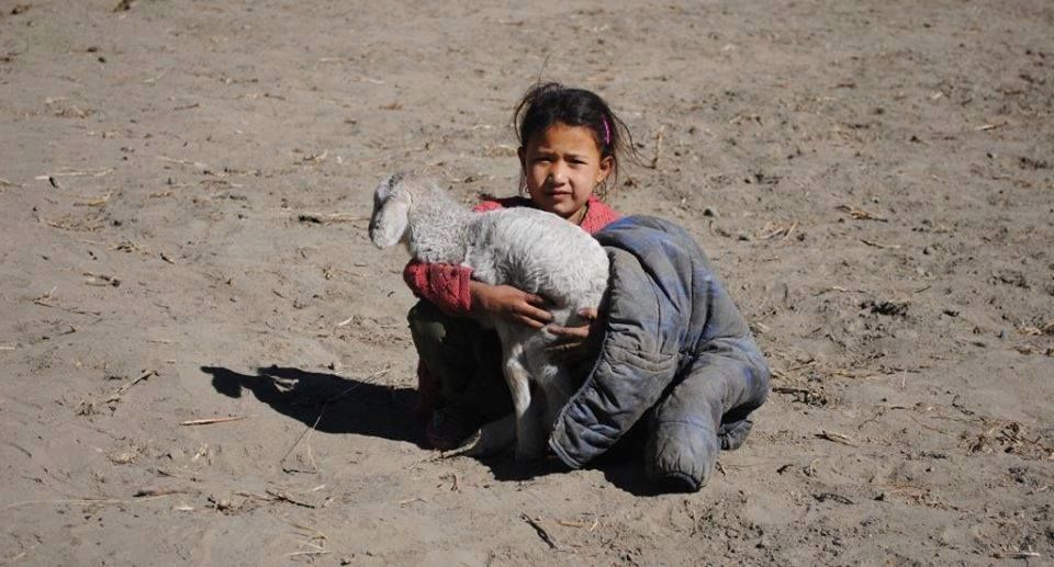 Photo of Born in Himalayas - A Blessing! 4/14 by Hippie in Hills
