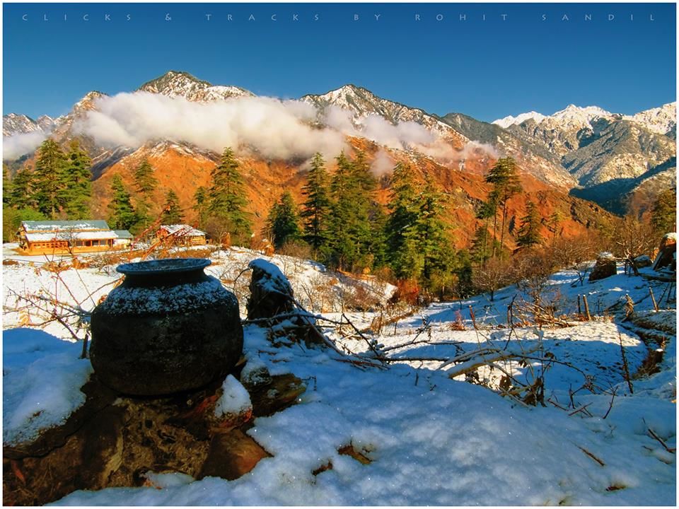 Photo of Born in Himalayas - A Blessing! 7/14 by Hippie in Hills