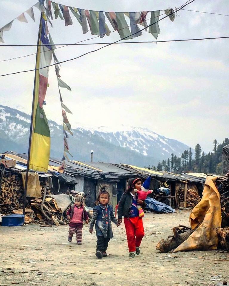Photo of Born in Himalayas - A Blessing! 9/14 by Hippie in Hills