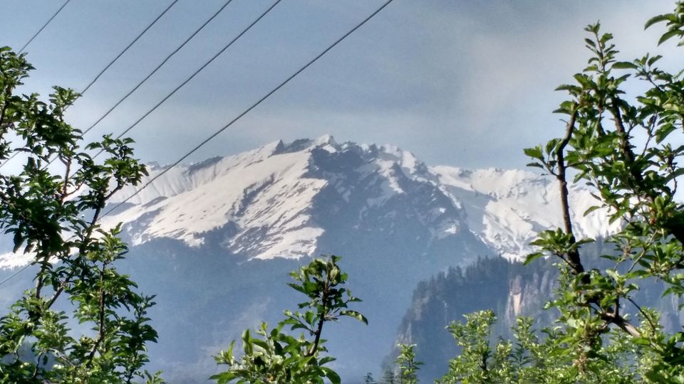 Photo of Born in Himalayas - A Blessing! 12/14 by Hippie in Hills