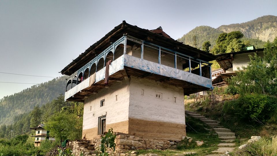 Photo of Born in Himalayas - A Blessing! 14/14 by Hippie in Hills