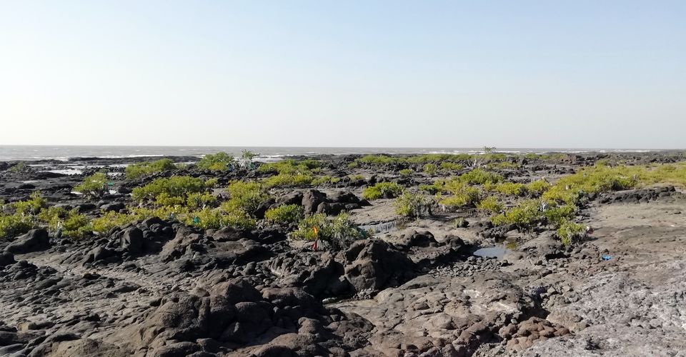 Photo of Kashid : A weekend tourist spot near Mumbai and Pune by Aparajita Patra