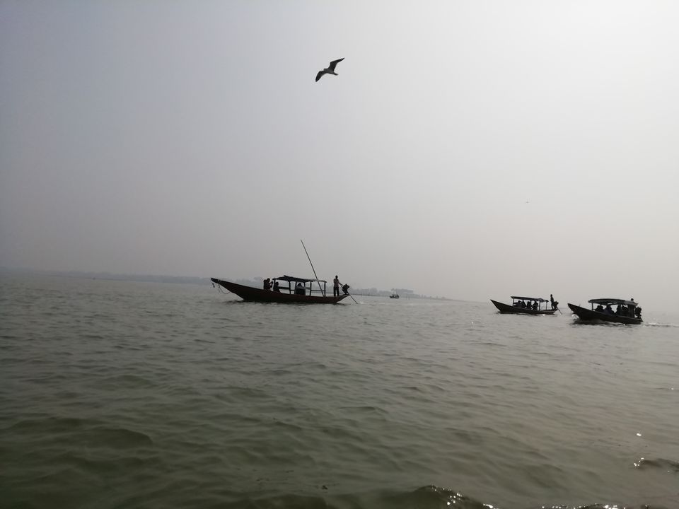 Photo of Chilika is more than the dolphins! by Aparajita Patra