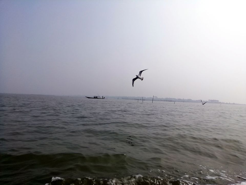Photo of Chilika is more than the dolphins! by Aparajita Patra