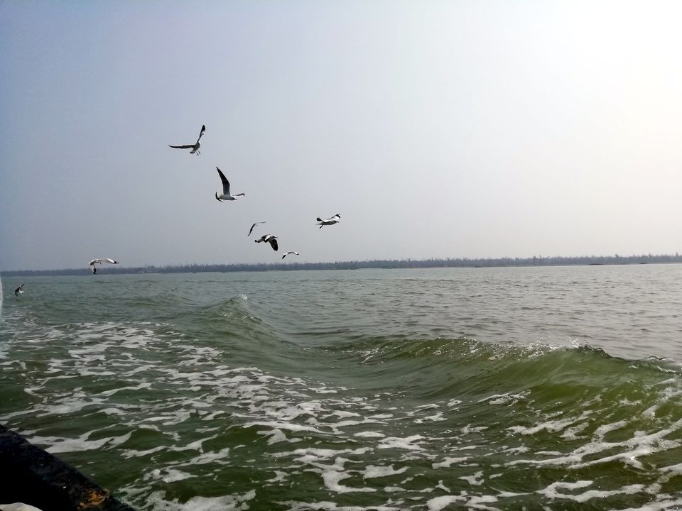 Photo of Chilika is more than the dolphins! by Aparajita Patra