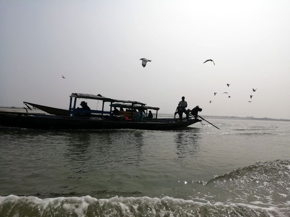 Photo of Chilika is more than the dolphins! by Aparajita Patra