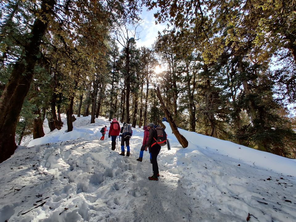 Photo of Kedarkantha Winter Trek- The First Snow Trek of my life by Shubham Gandhi