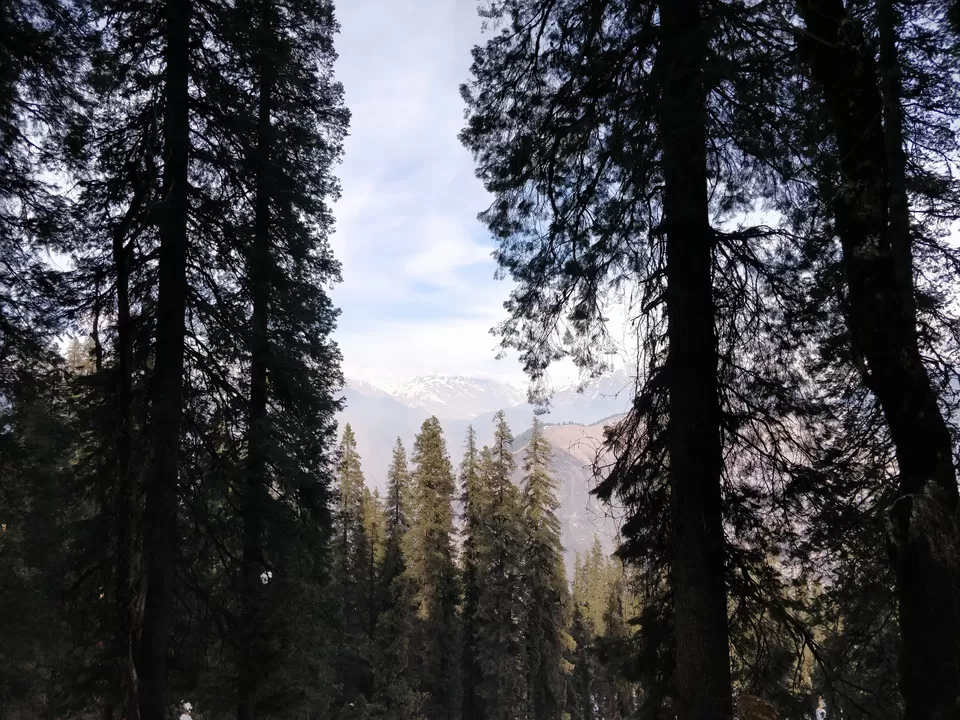 Photo of Kedarkantha Winter Trek- The First Snow Trek of my life by Shubham Gandhi