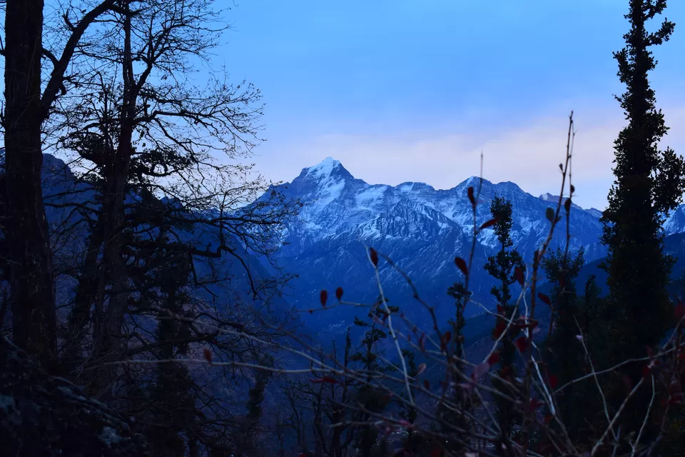 Photo of Journey to the Majestic Mountains- Kuari Pass Trek Part 1 by Shubham Gandhi