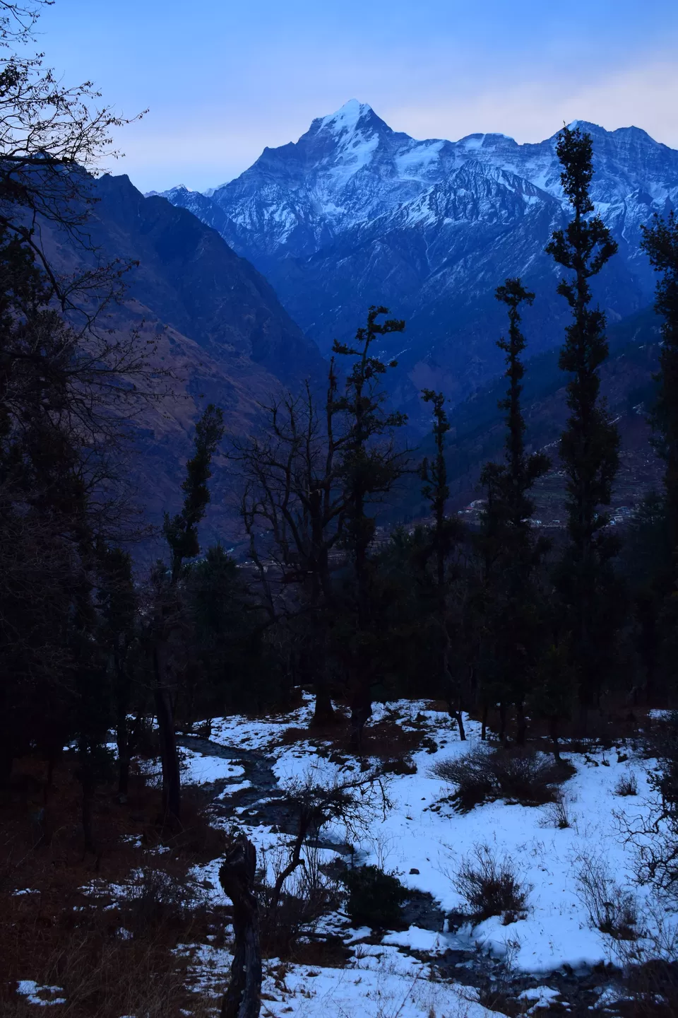Photo of Journey to the Majestic Mountains- Kuari Pass Trek Part 1 by Shubham Gandhi