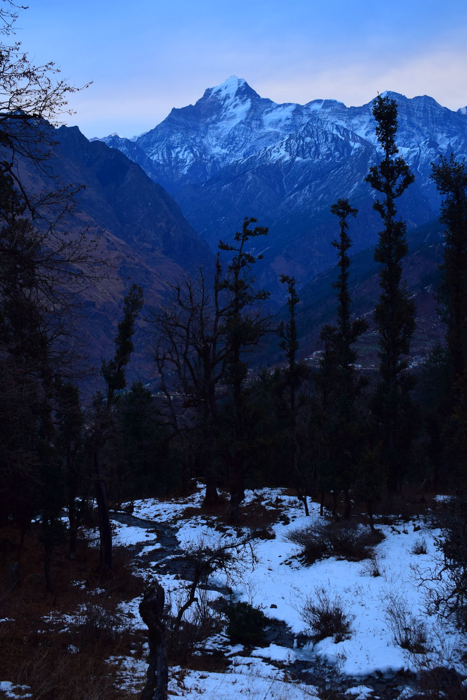 Photo of Journey to the Majestic Mountains- Kuari Pass Trek Part 2 7/9 by Shubham Gandhi