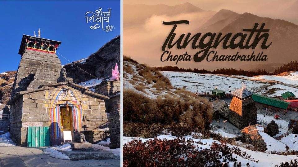 Photo of Magical & Colorful Chopta, Tungnath & Chandrashila Peak 1/11 by Shubham Gandhi