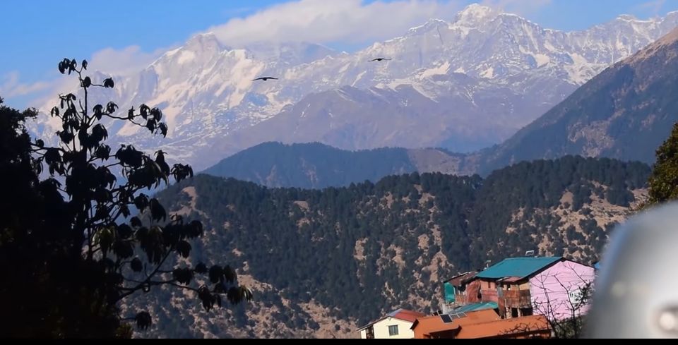 Photo of Magical & Colorful Chopta, Tungnath & Chandrashila Peak 5/11 by Shubham Gandhi