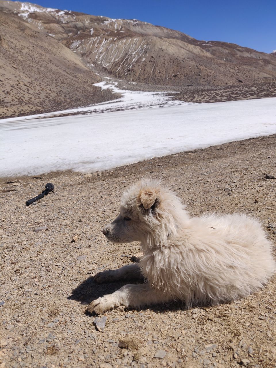 Photo of Exploring Monasteries in Spiti: Tabo & Dhankar 5/8 by Shubham Gandhi