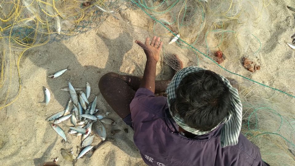 Photo of Dhanushkodi - The Magical Landscape by Athira Radhakrishnan