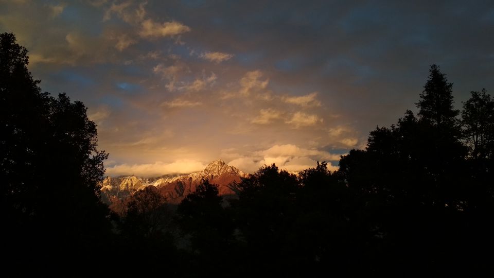 Photo of Lost in the Wild | My first high altitude trek in Uttarakhand 2/2 by Athira Radhakrishnan
