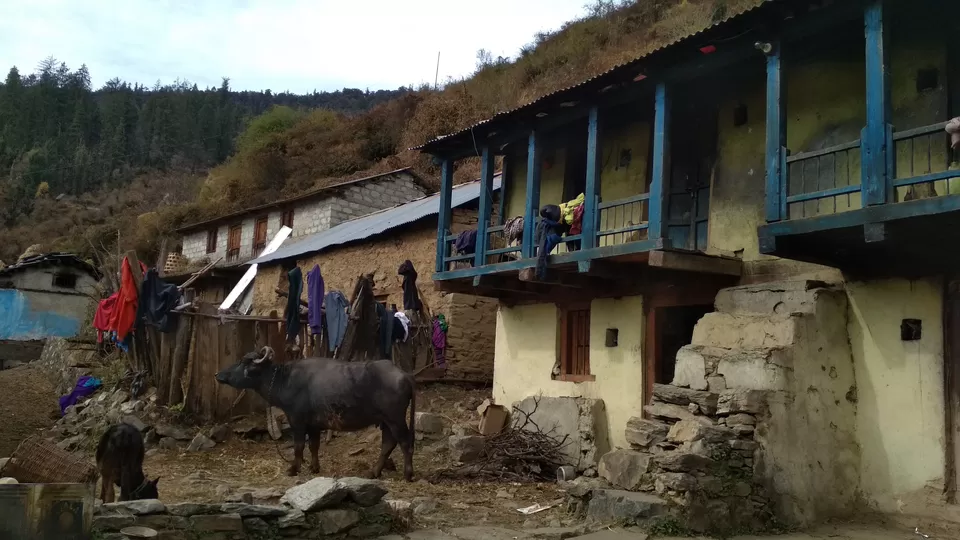 Photo of Uttarakhand, India by Athira Radhakrishnan