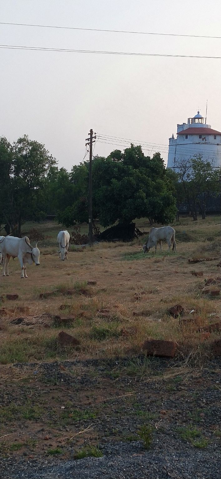 Photo of Amazing Trip by Arpan