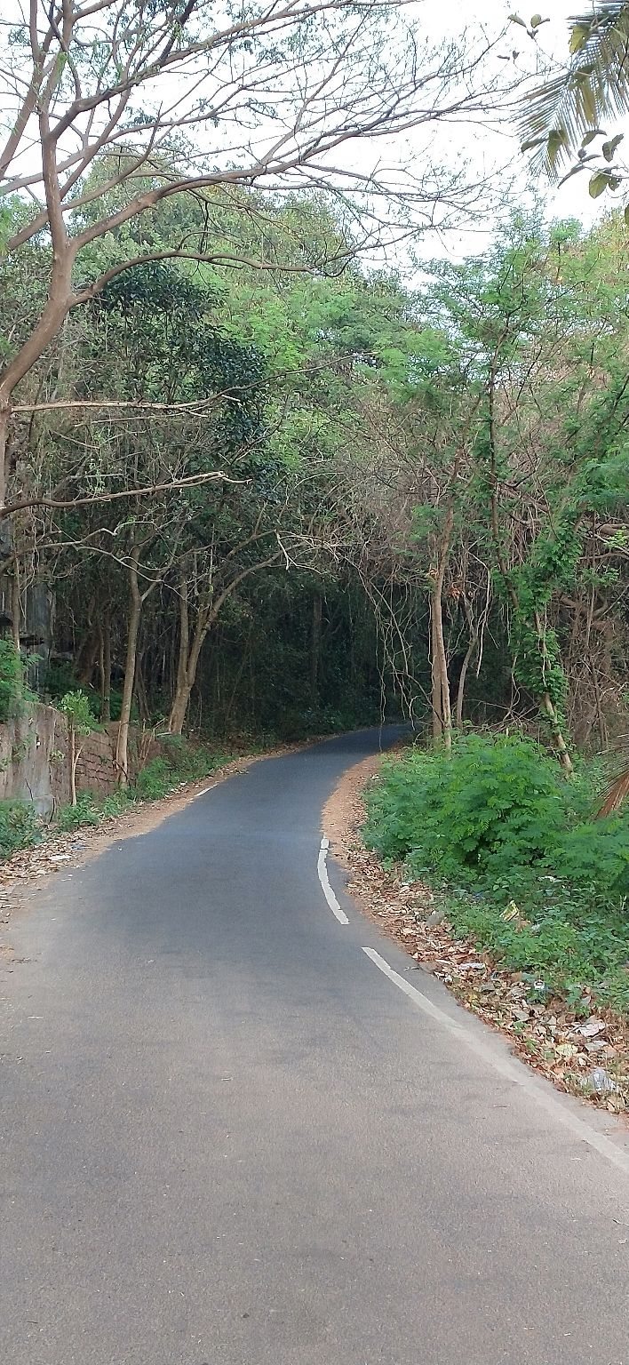 Photo of Amazing Trip by Arpan