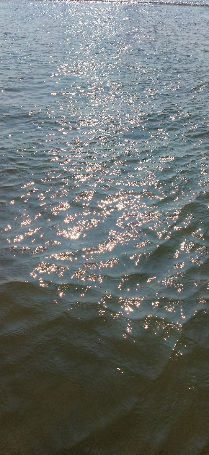 Photo of Amazing Trip by Arpan